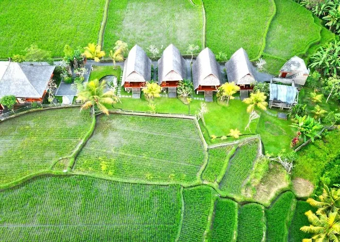 Pondok Gandalangu Ubud-Dikelilingi Hamparan Sawah