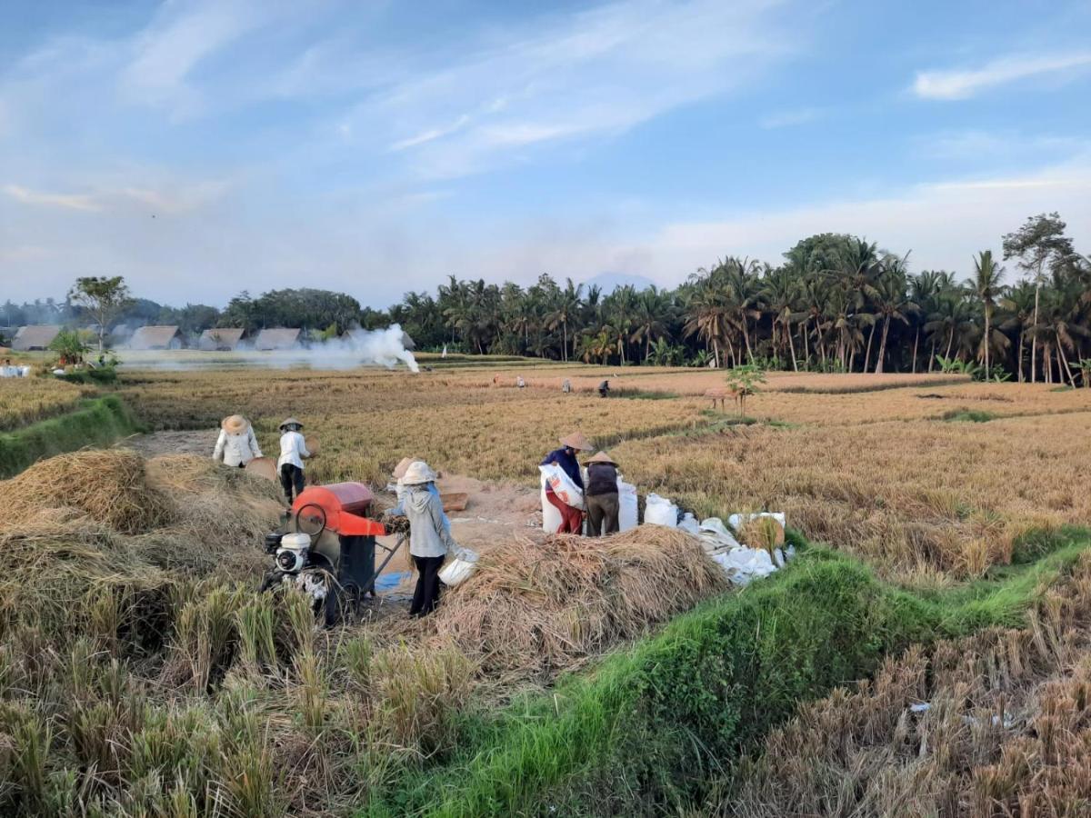 Gandalangu Ubud-dikelilingi Hamparan Sawah Lodge Ubud