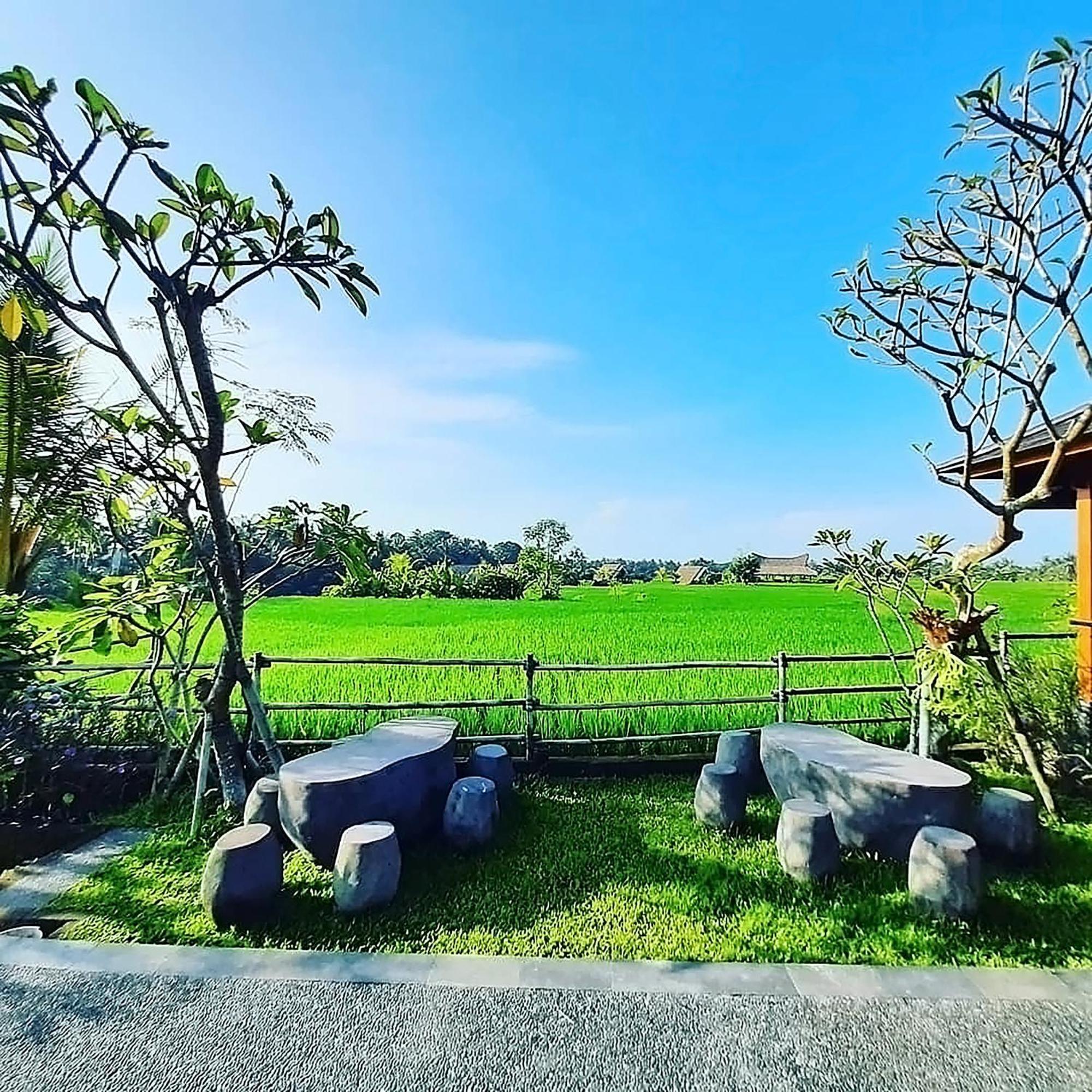 Lodge Gandalangu Ubud-dikelilingi Hamparan Sawah Ubud